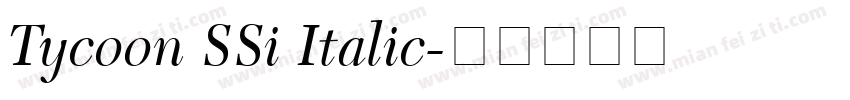 Tycoon SSi Italic字体转换